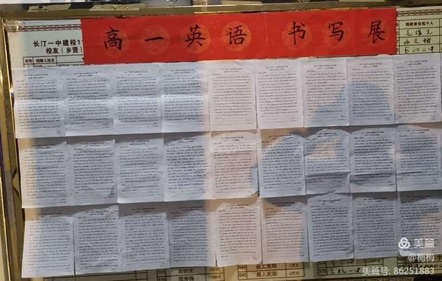调整大小 图片1.png