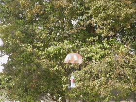 点击查看原图